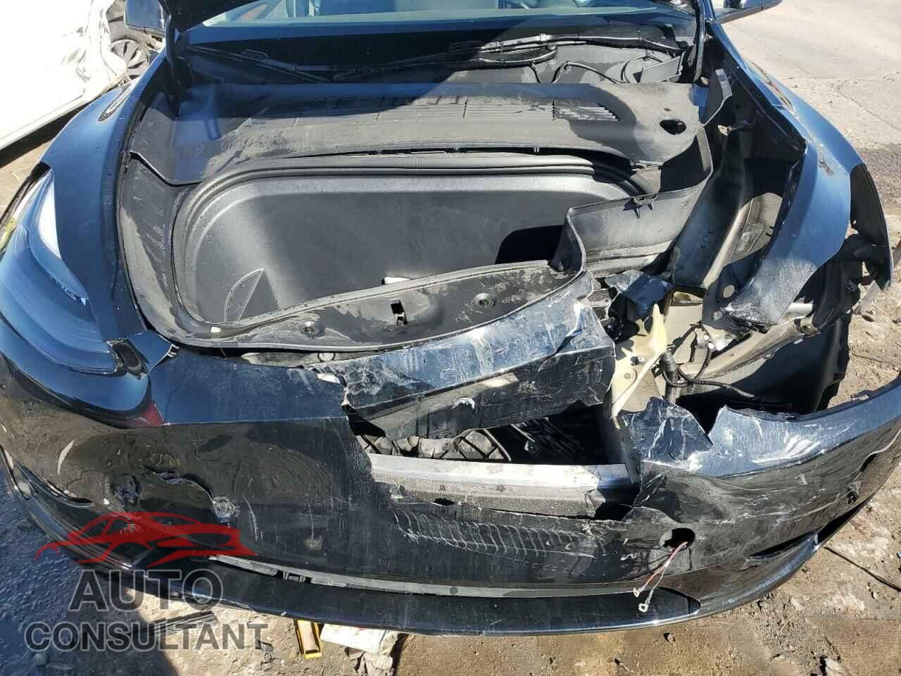 TESLA MODEL Y 2024 - 7SAYGDEE7RF071563
