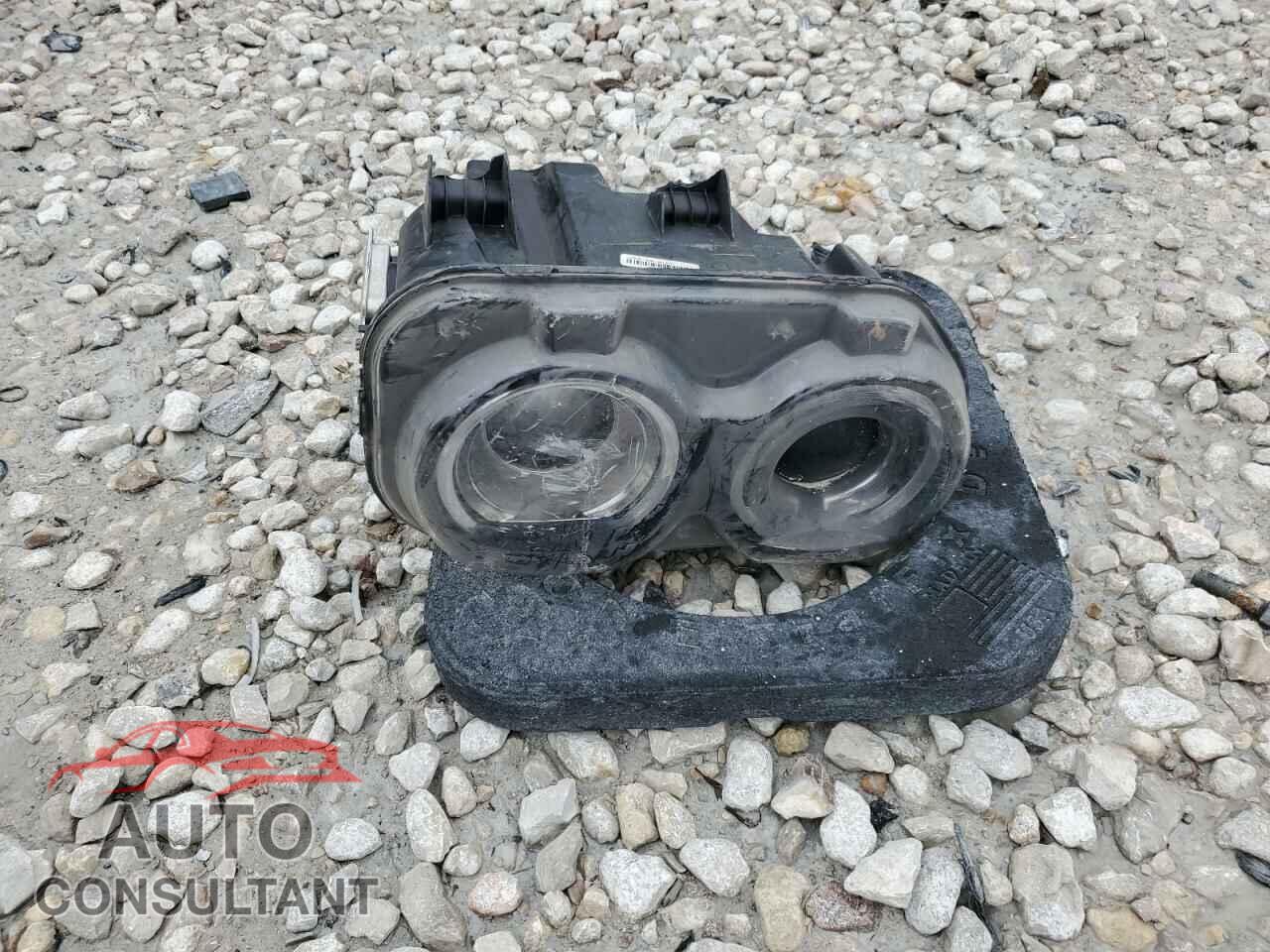 DODGE CHALLENGER 2020 - 2C3CDZAG4LH198992