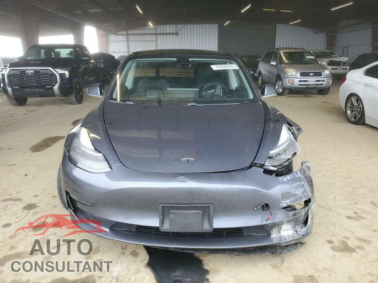 TESLA MODEL 3 2019 - 5YJ3E1EA7KF308194