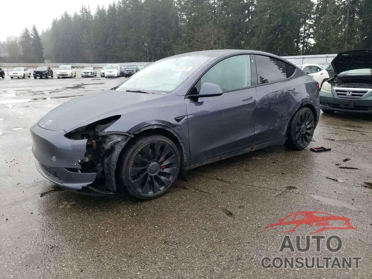 TESLA MODEL Y 2022 - 7SAYGDEF2NF459268