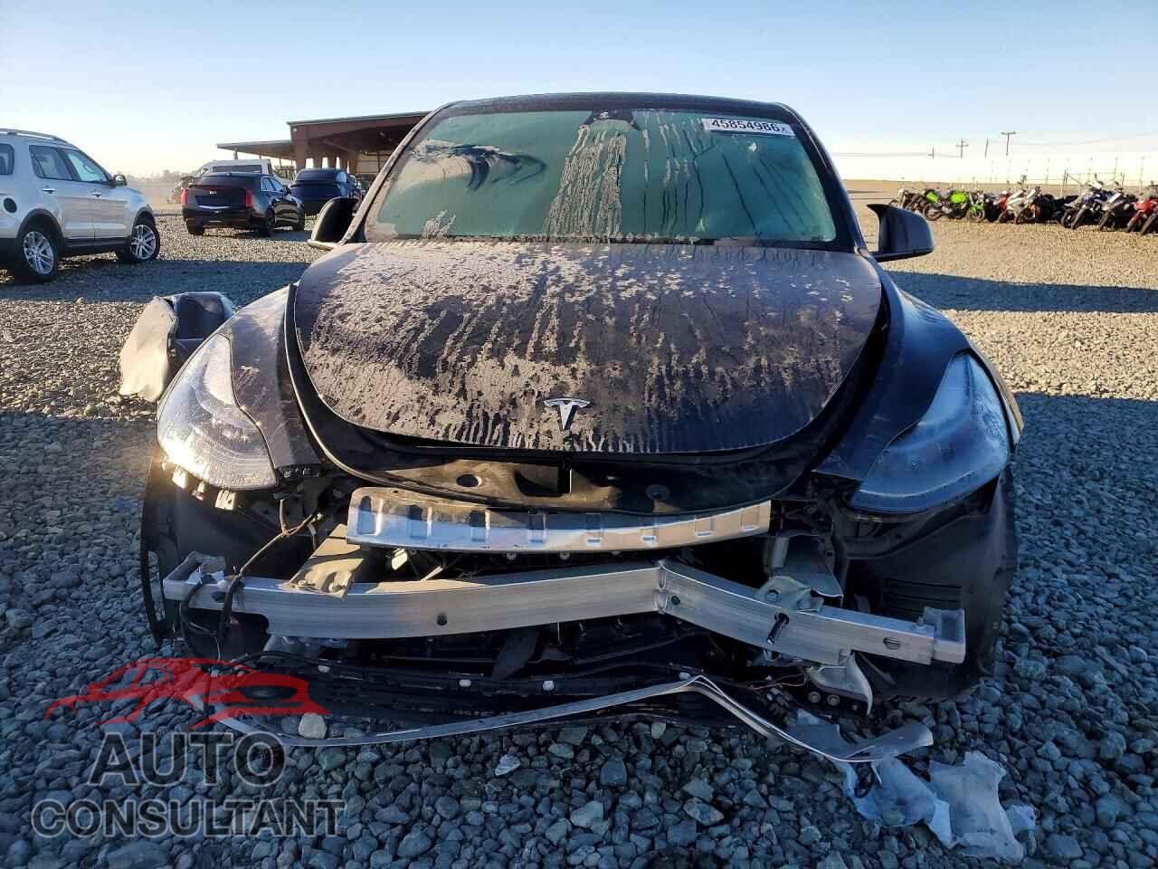 TESLA MODEL Y 2024 - 7SAYGDEE7RF013565