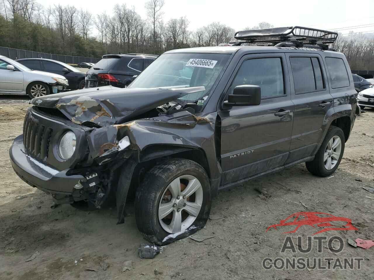 JEEP PATRIOT 2016 - 1C4NJRBBXGD534616