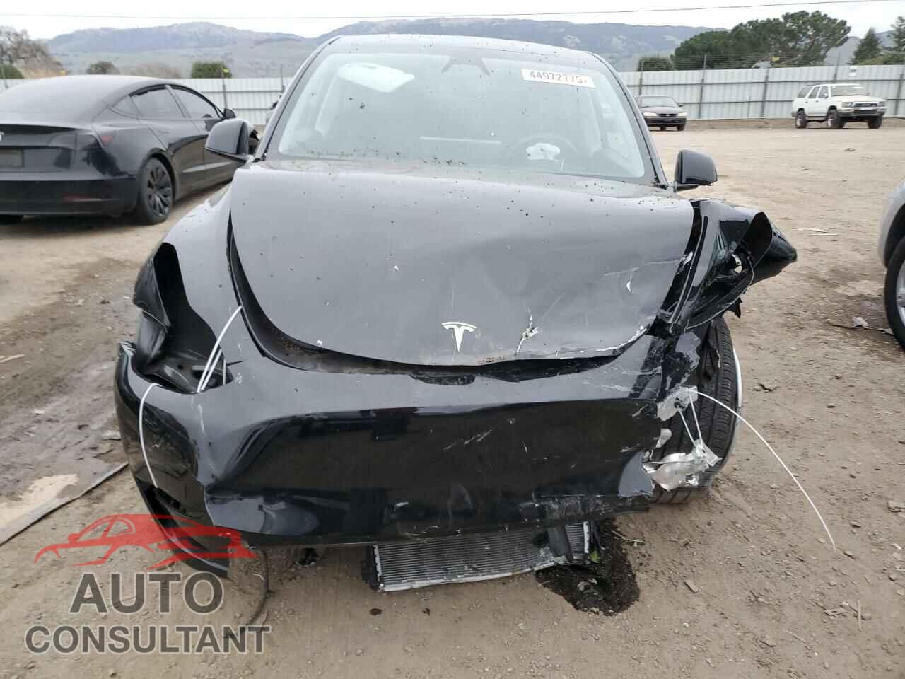 TESLA MODEL Y 2024 - 7SAYGDED2RF028899