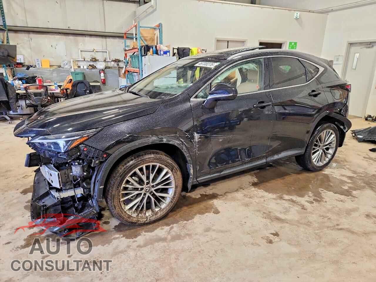 LEXUS UNKNOWN 2025 - 2T2GGCEZ6SC089452