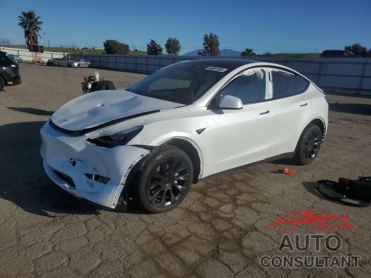 TESLA MODEL Y 2024 - 7SAYGDEEXRF052571