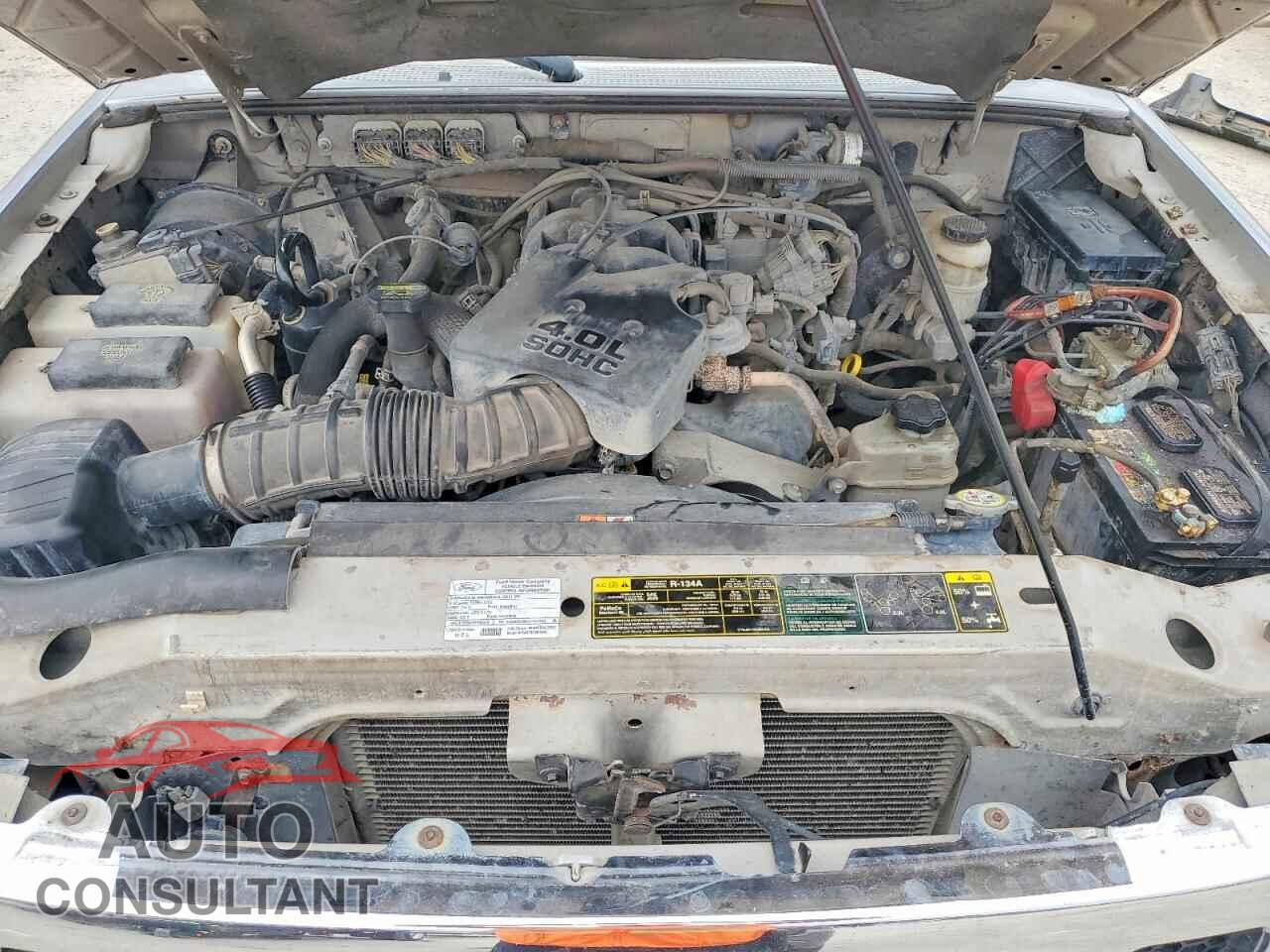 FORD RANGER 2011 - 1FTKR1EEXBPB19743