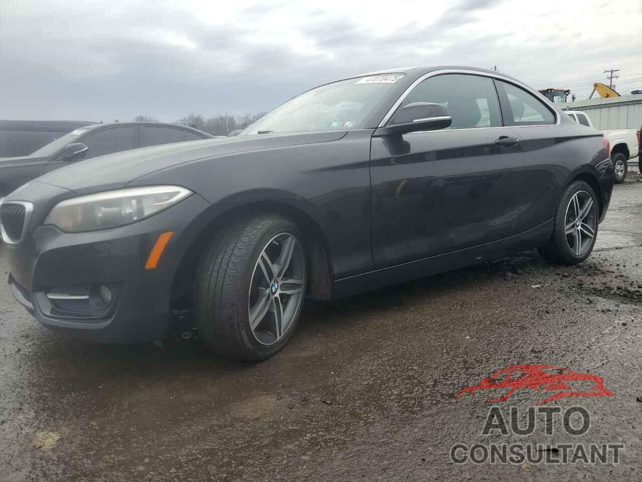 BMW 2 SERIES 2017 - WBA2H9C52HV641899