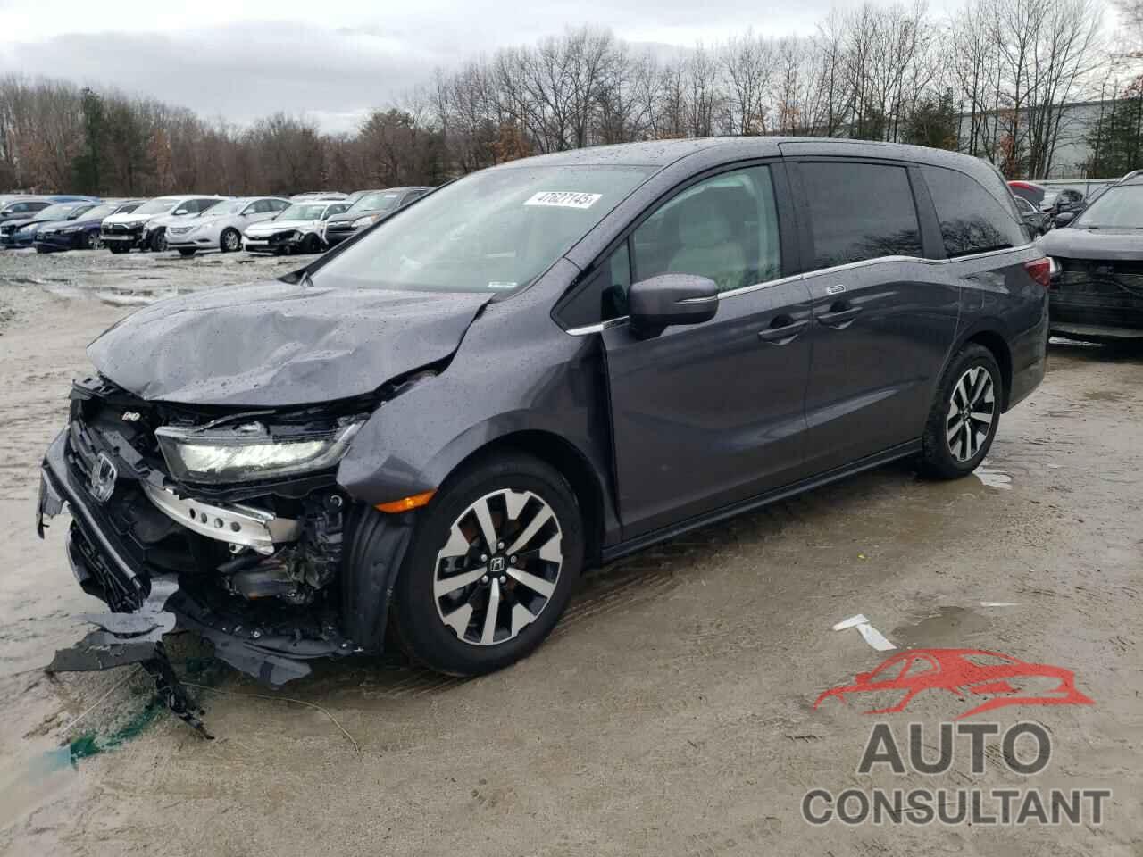 HONDA All Models 2025 - 5FNRL6H66SB025239