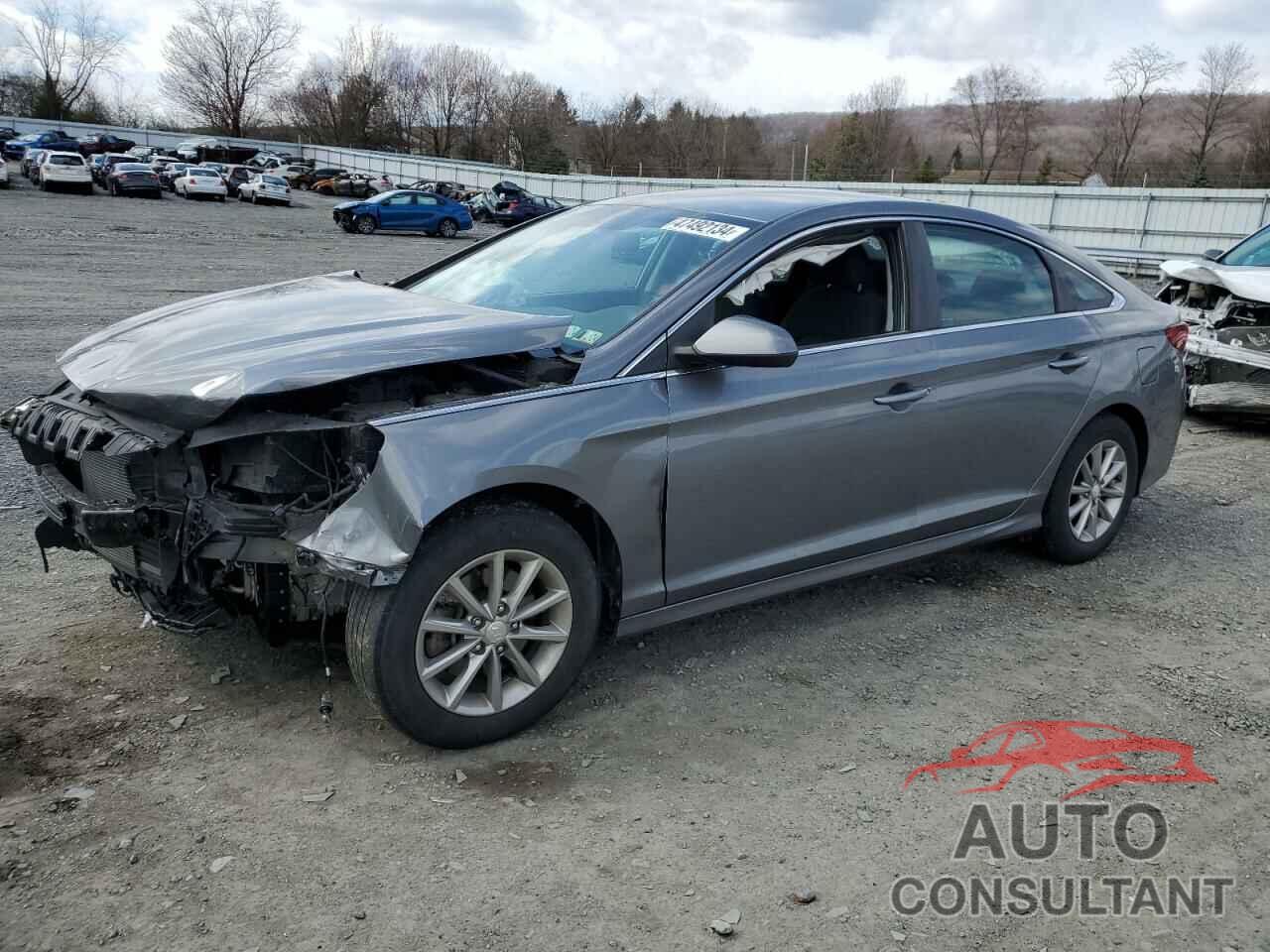 HYUNDAI SONATA 2019 - 5NPE24AF8KH750553