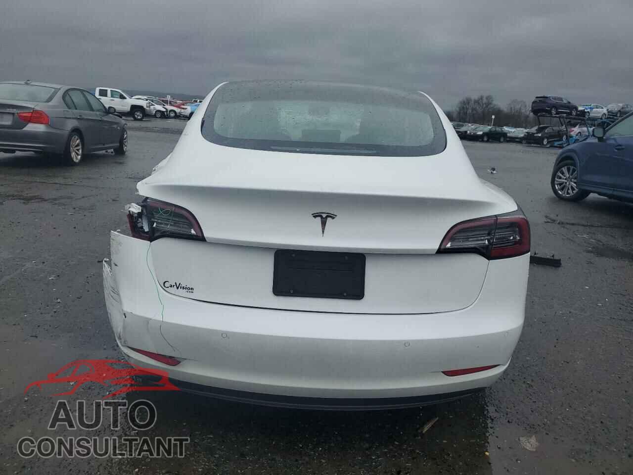 TESLA MODEL 3 2020 - 5YJ3E1EA8LF613303