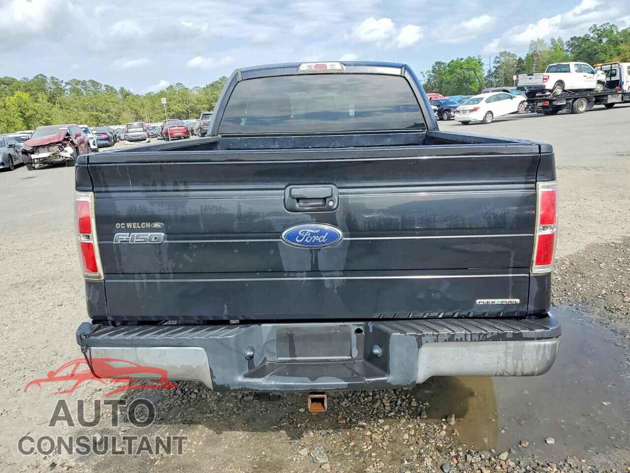 FORD F150 2012 - 1FTFX1EF6CFD08803