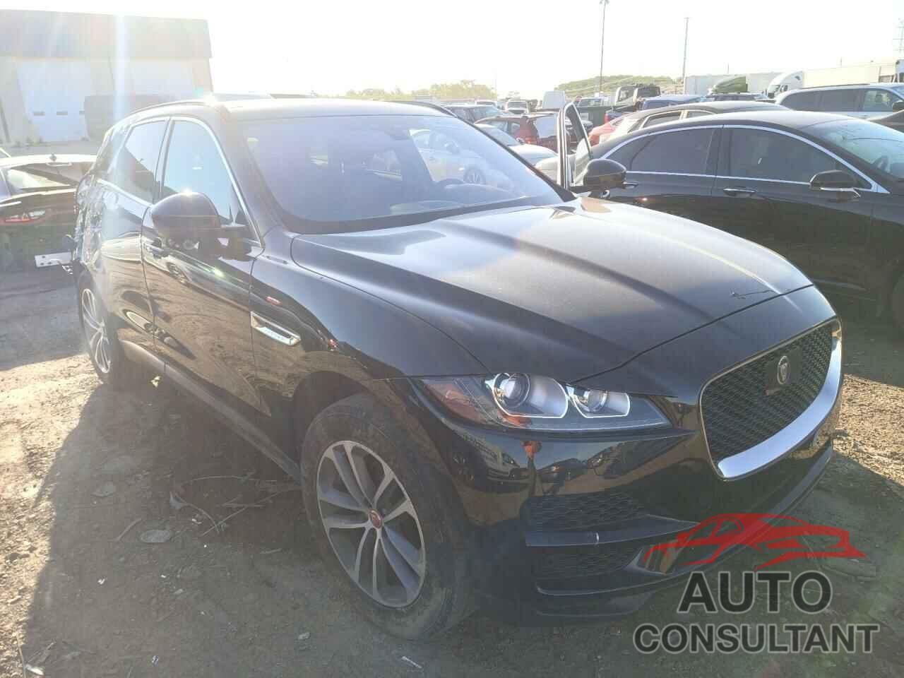 JAGUAR F-PACE 2019 - SADCJ2FX8KA395976