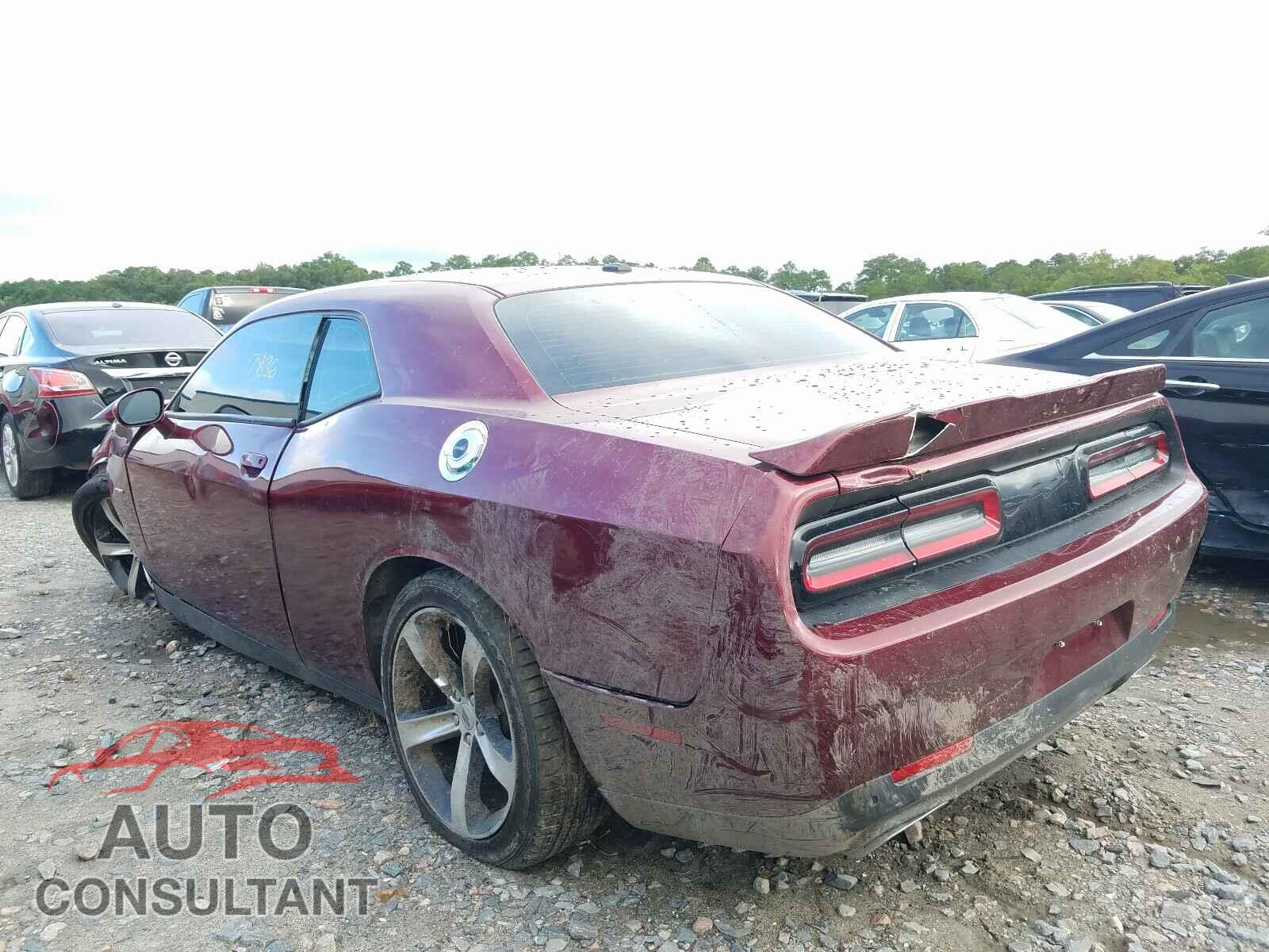 DODGE CHALLENGER 2019 - 2C3CDZBT5KH660423