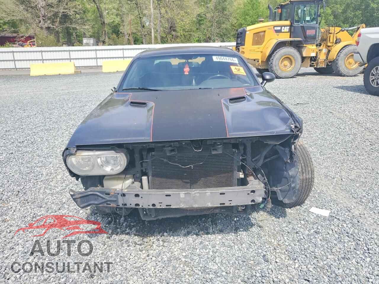 DODGE CHALLENGER 2014 - 2C3CDYAG0EH153819