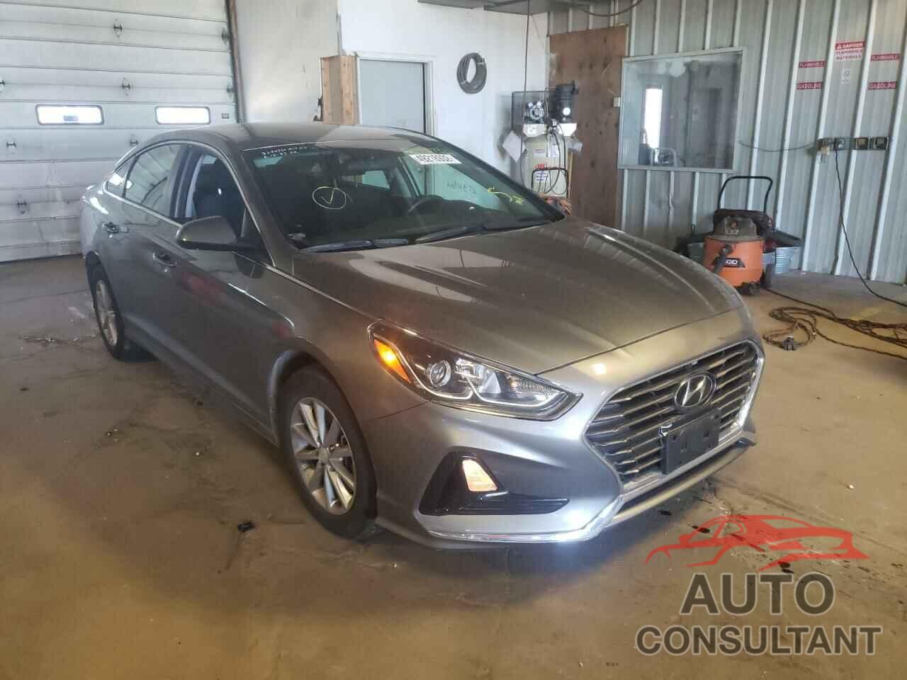 HYUNDAI SONATA 2019 - 5NPE24AF4KH772226