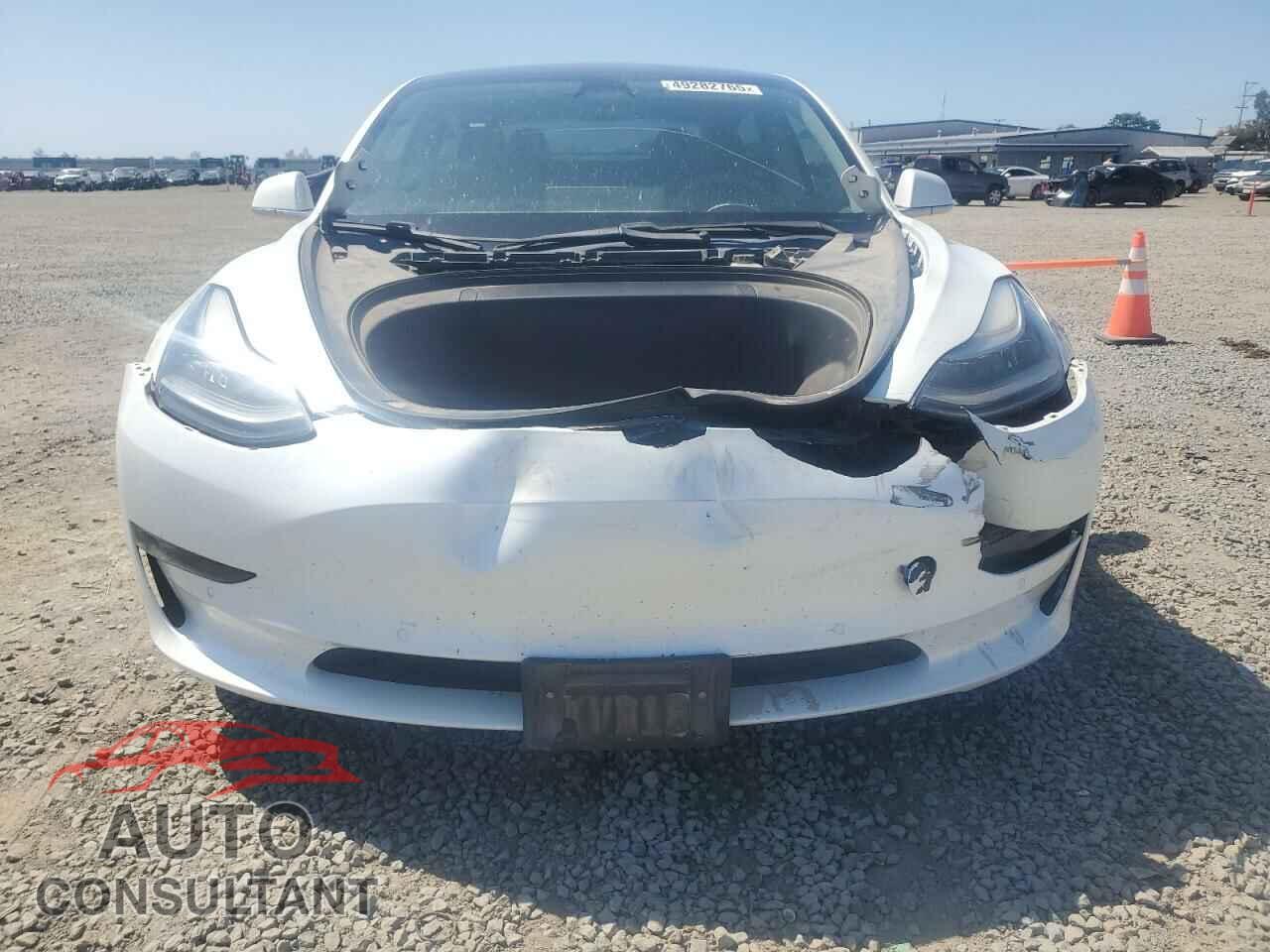 TESLA MODEL 3 2019 - 5YJ3E1EA3KF345033