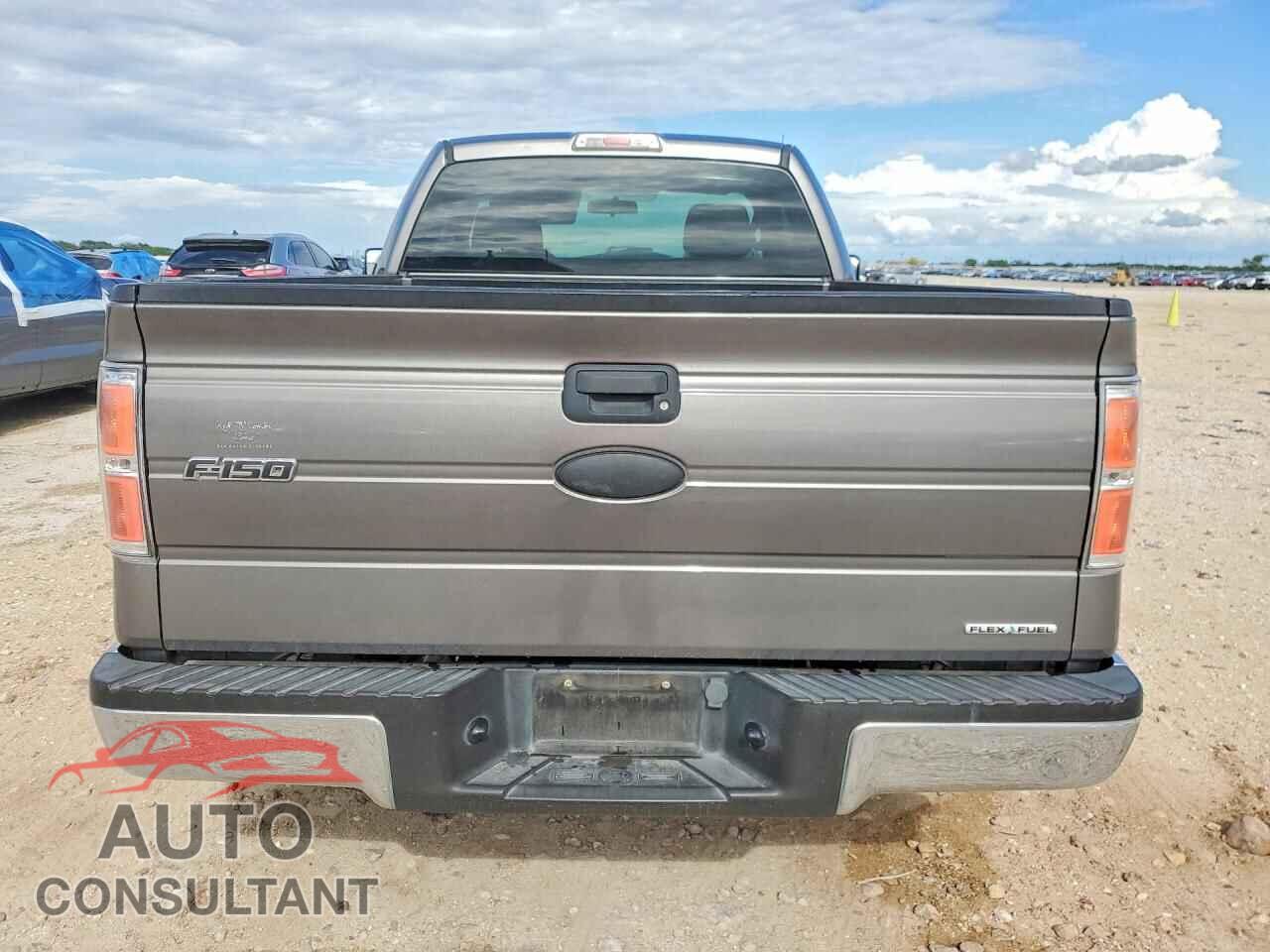 FORD F150 2011 - 1FTMF1CM9BFB97657