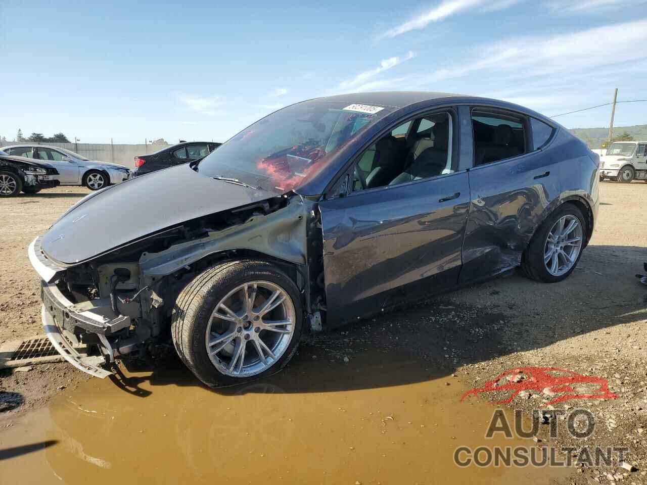 TESLA MODEL Y 2023 - 7SAYGDEE7PF851625