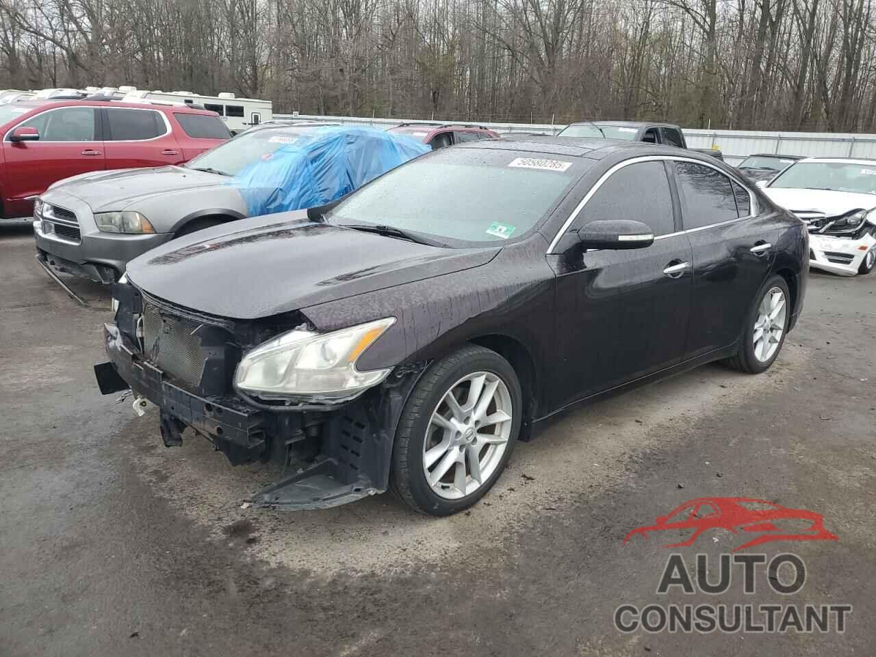 NISSAN MAXIMA 2010 - 1N4AA5AP4AC847605