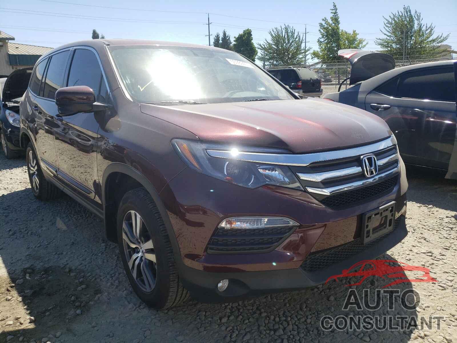 HONDA PILOT 2016 - 5FNYF6H51GB128666