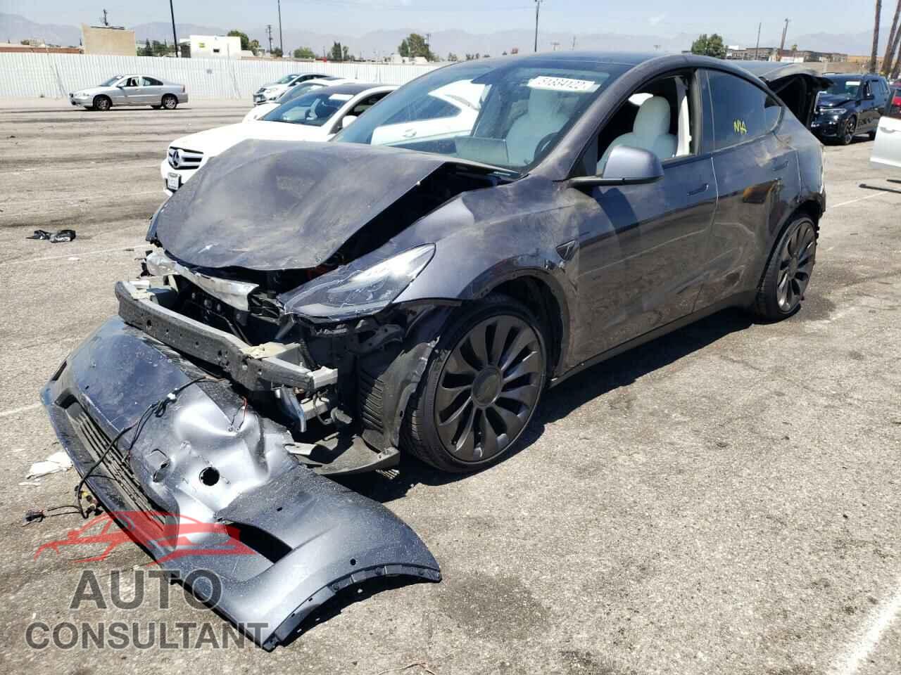 TESLA MODEL Y 2022 - 7SAYGDEF9NF338432