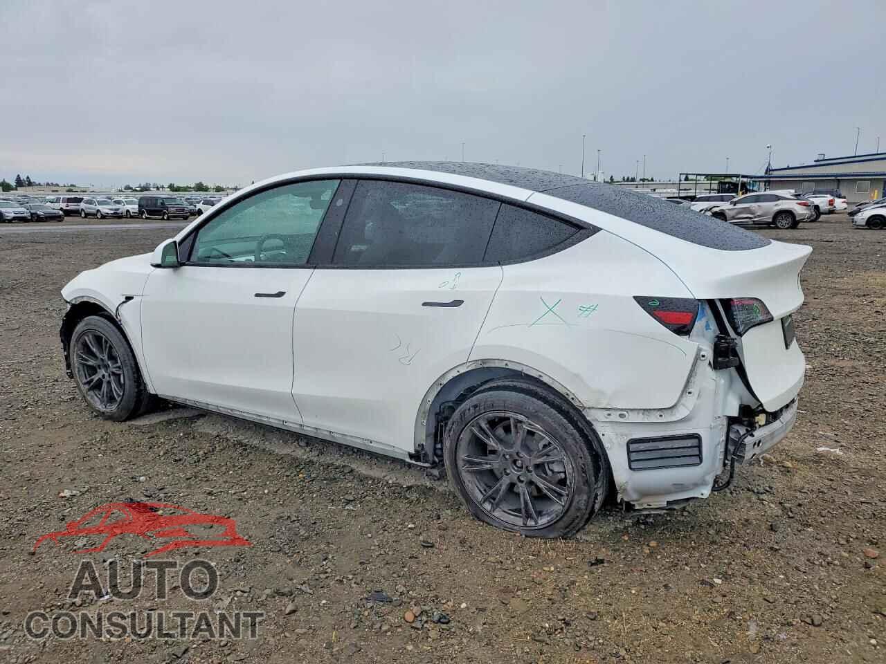 TESLA MODEL Y 2024 - 7SAYGDED3RF103674
