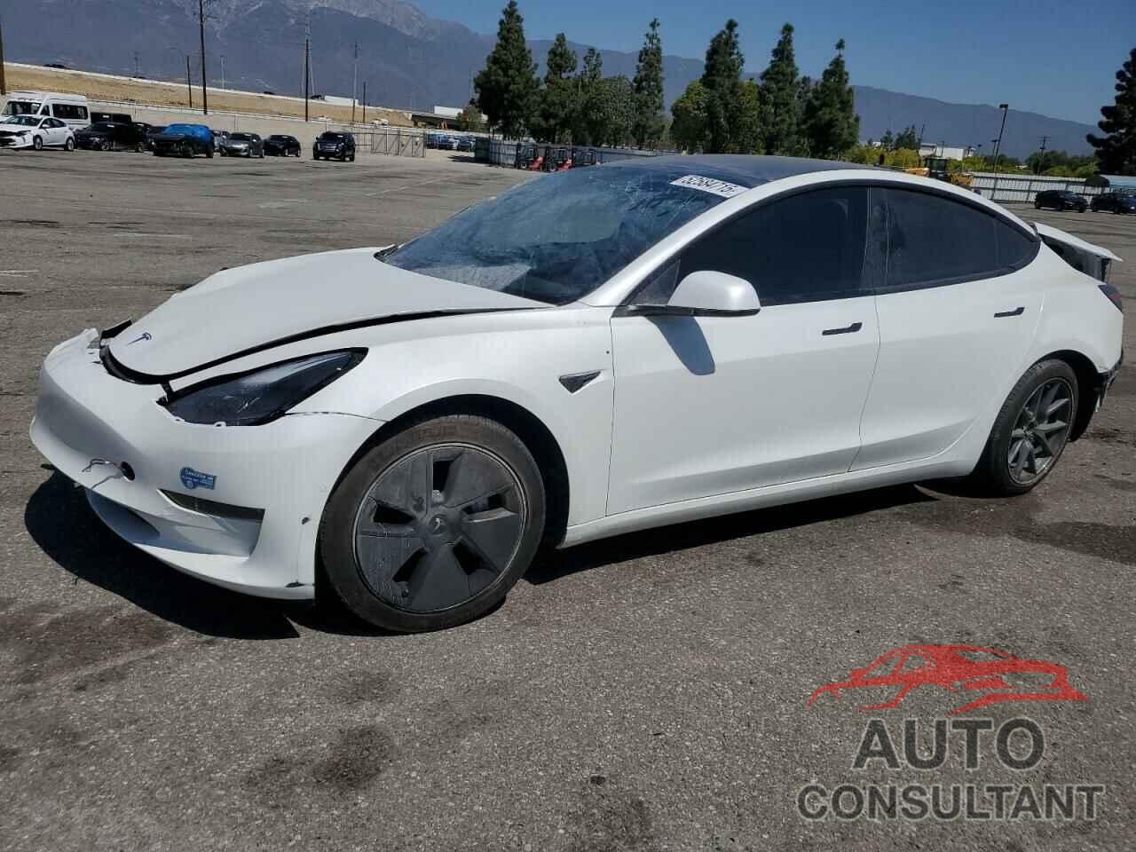 TESLA MODEL 3 2021 - 5YJ3E1EB2MF007067