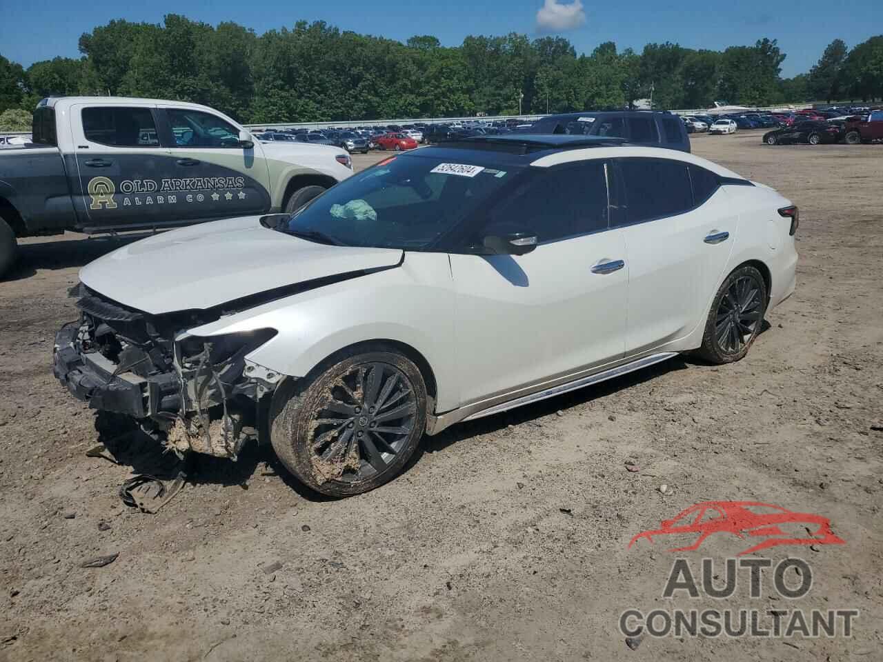 NISSAN MAXIMA 2019 - 1N4AA6AV8KC382865