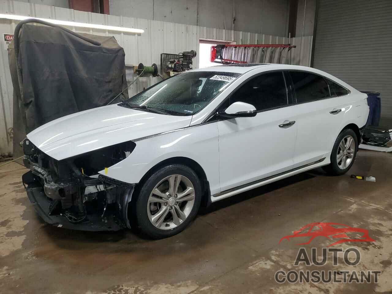 HYUNDAI SONATA 2019 - 5NPE34AF1KH767384