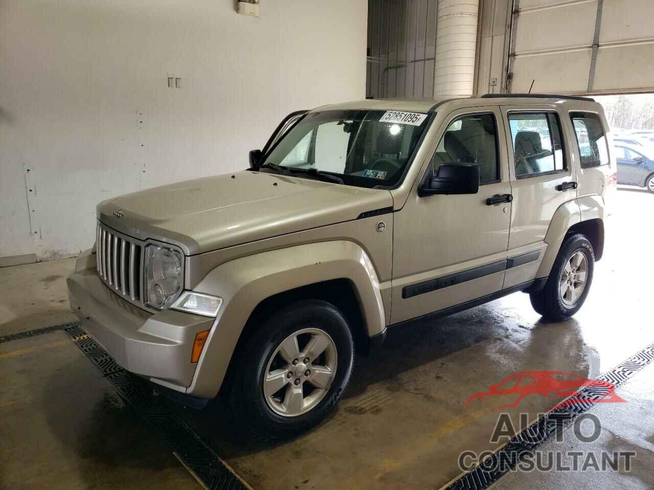 JEEP LIBERTY 2010 - 1J4PN2GK9AW143878