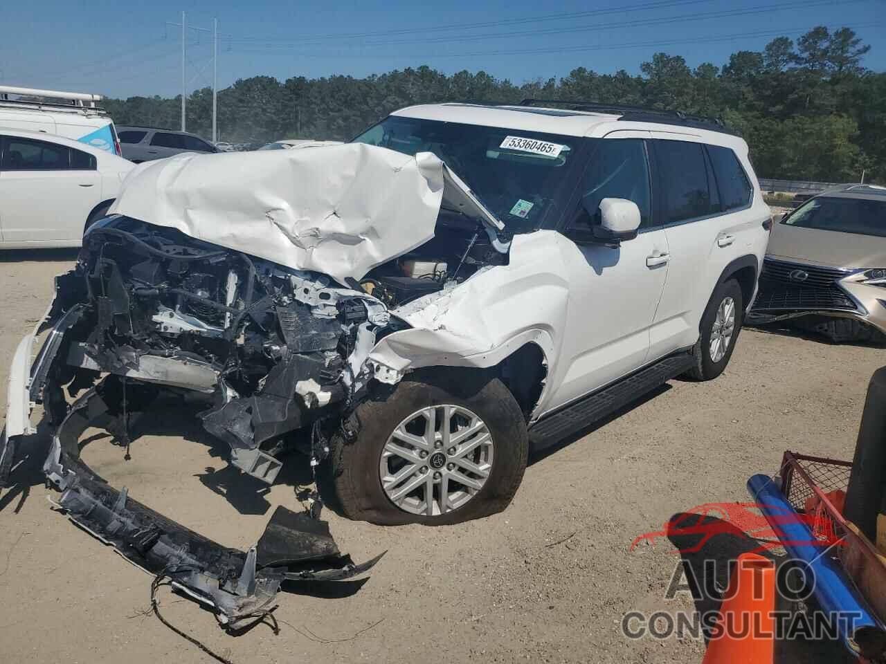 TOYOTA SEQUOIA 2024 - 7SVAAAAA2RX003720