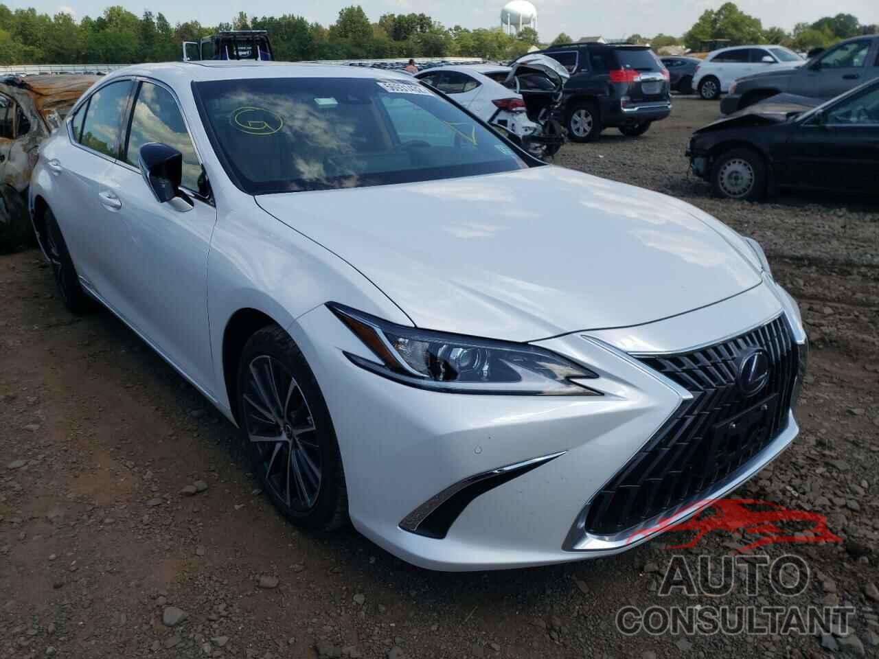 LEXUS ES300 2022 - 58ADA1C18NU022163