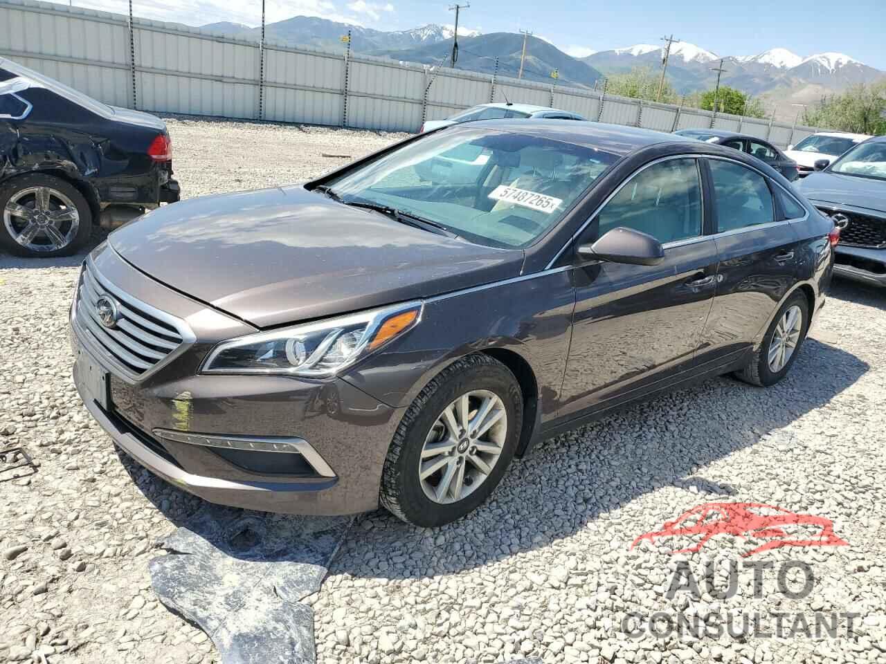 HYUNDAI SONATA 2015 - 5NPE24AF7FH204722