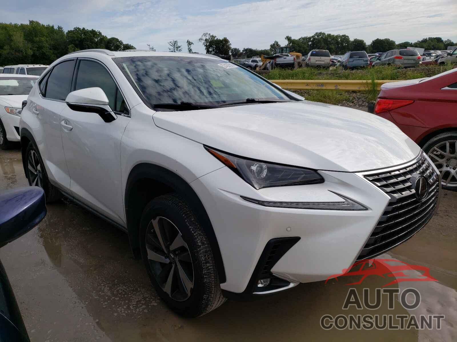 LEXUS NX 2018 - JTJYARBZ3J2110902