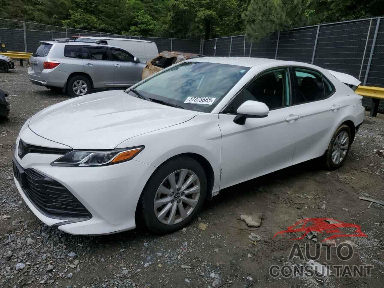 TOYOTA CAMRY 2019 - 4T1B11HKXKU742558