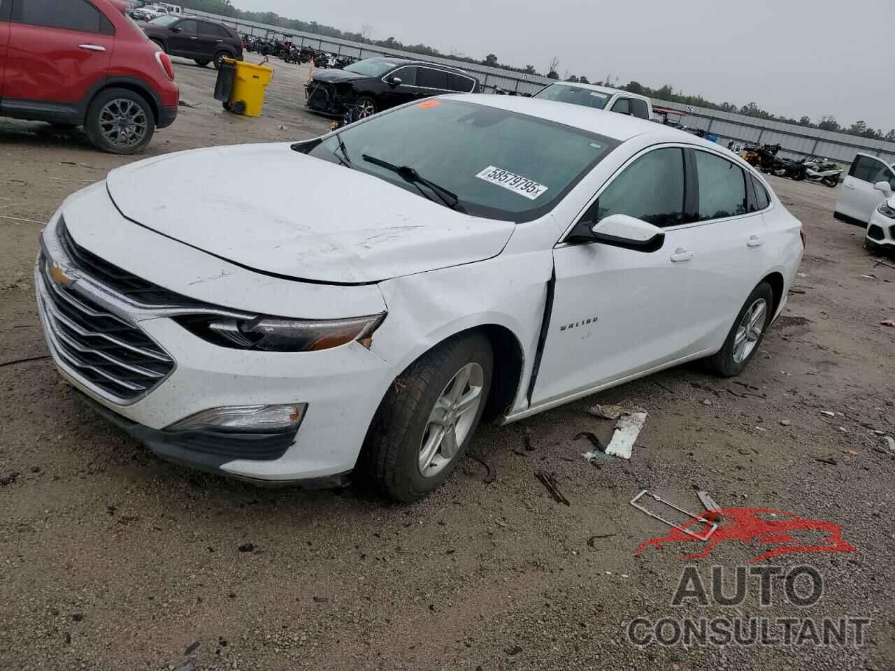 CHEVROLET MALIBU 2024 - 1G1ZC5ST6RF199304