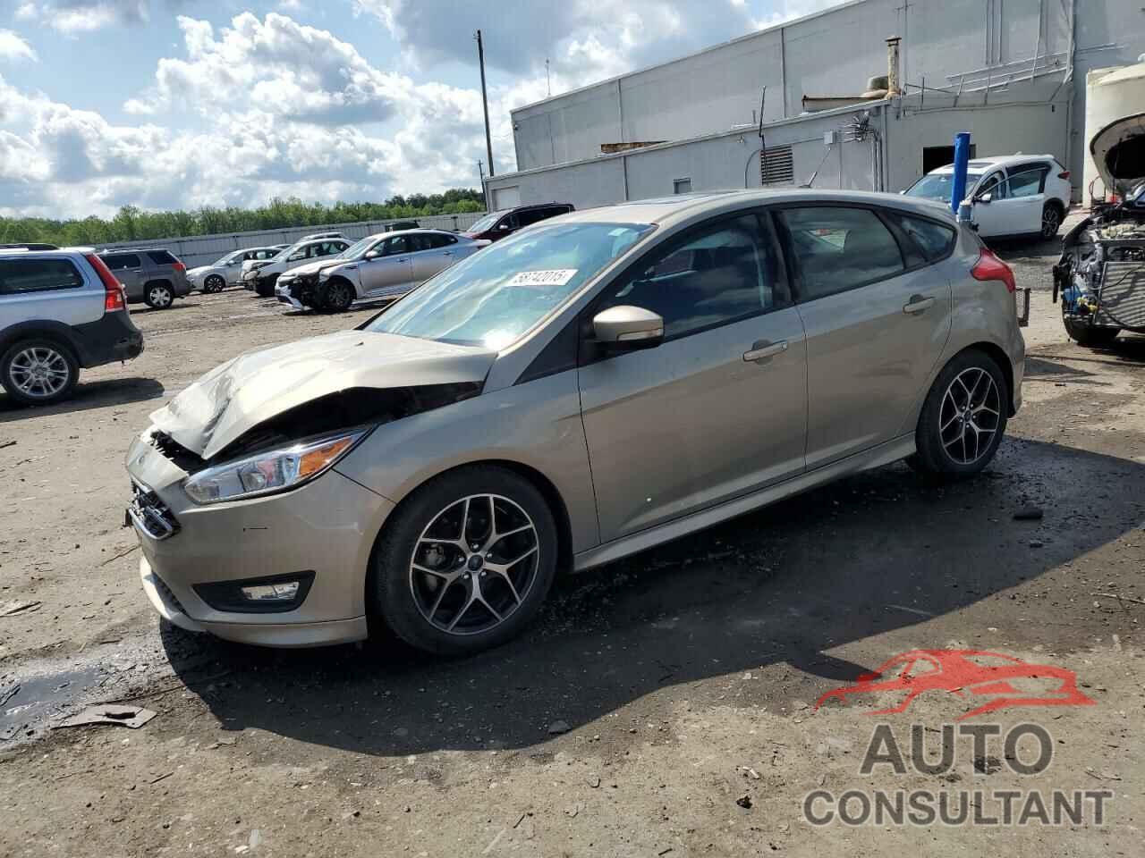 FORD FOCUS 2016 - 1FADP3K28GL209305