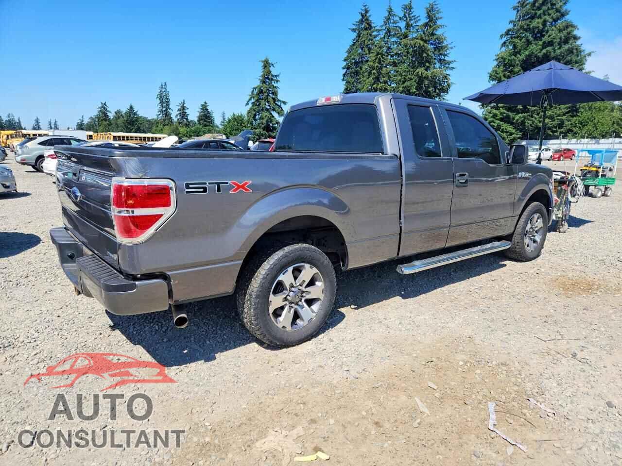 FORD F150 2013 - 1FTFX1CF1DFC61572