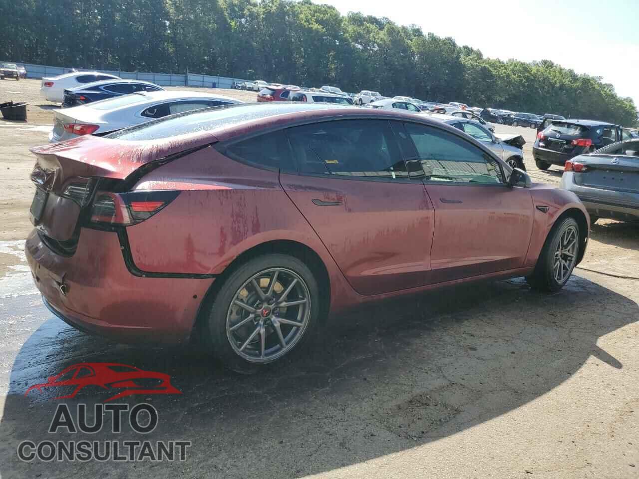 TESLA MODEL 3 2019 - 5YJ3E1EA5KF402963