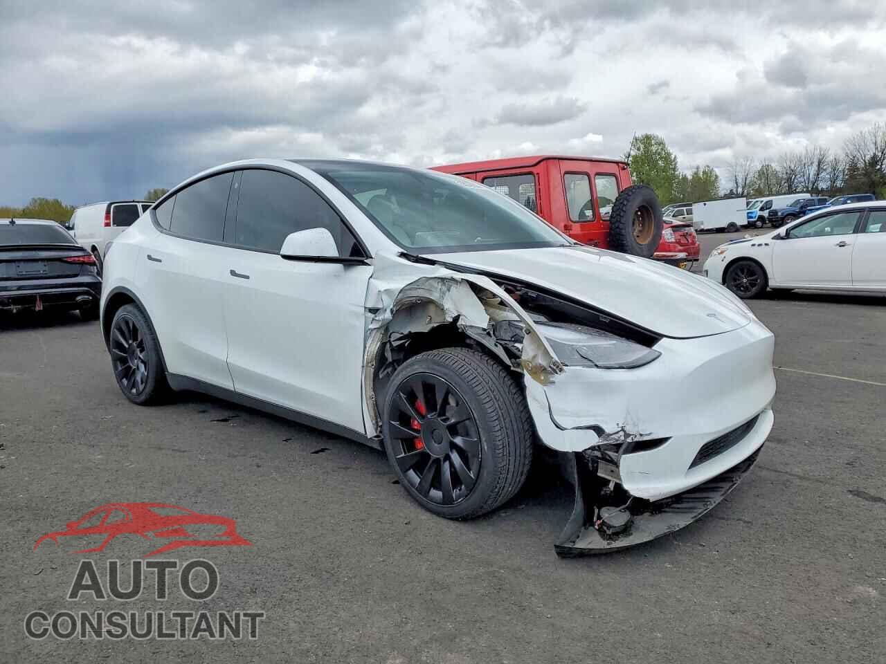 TESLA MODEL Y 2023 - 7SAYGDEE1PF759068