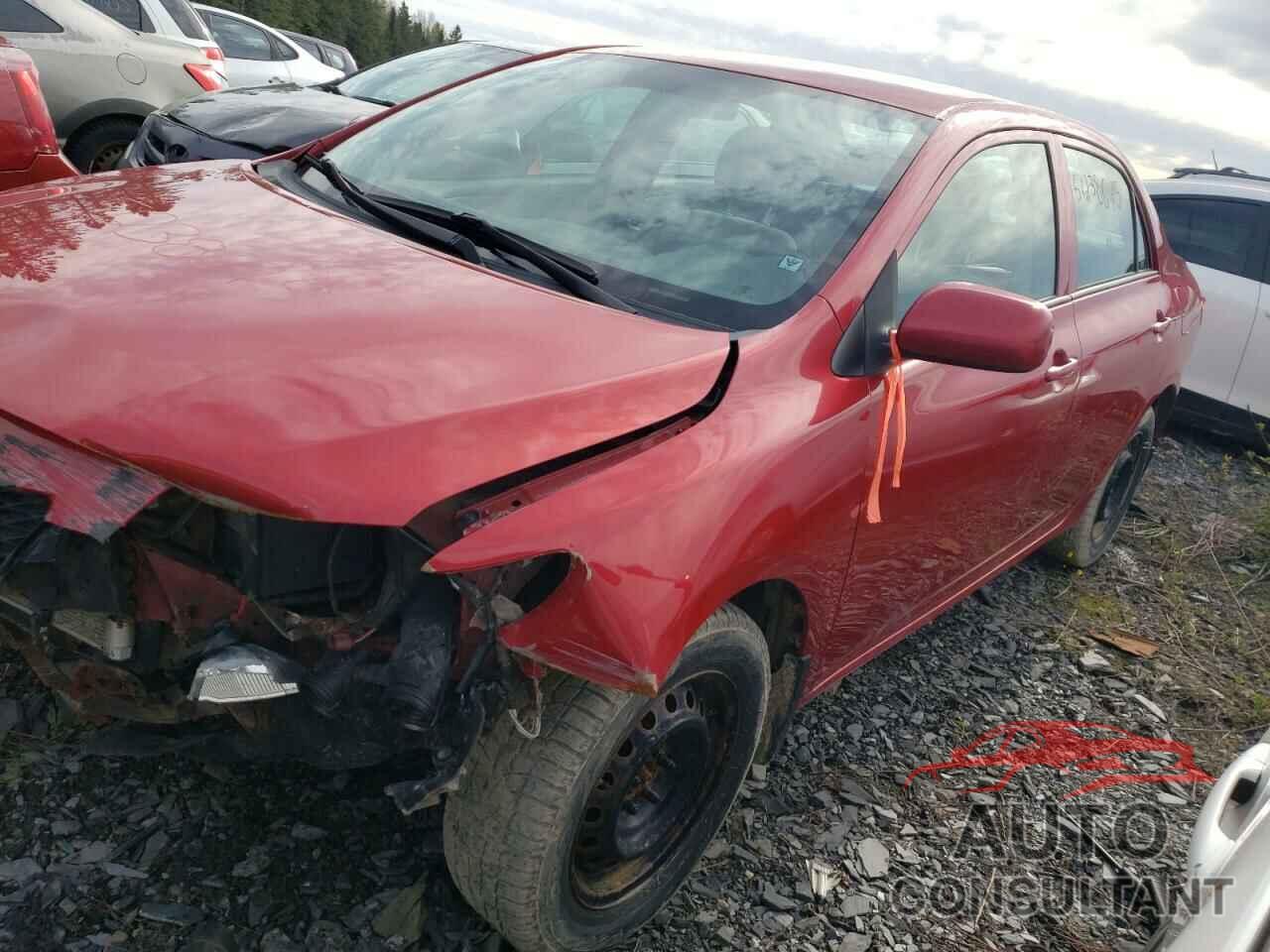 TOYOTA COROLLA 2010 - 2T1BU4EEXAC428528
