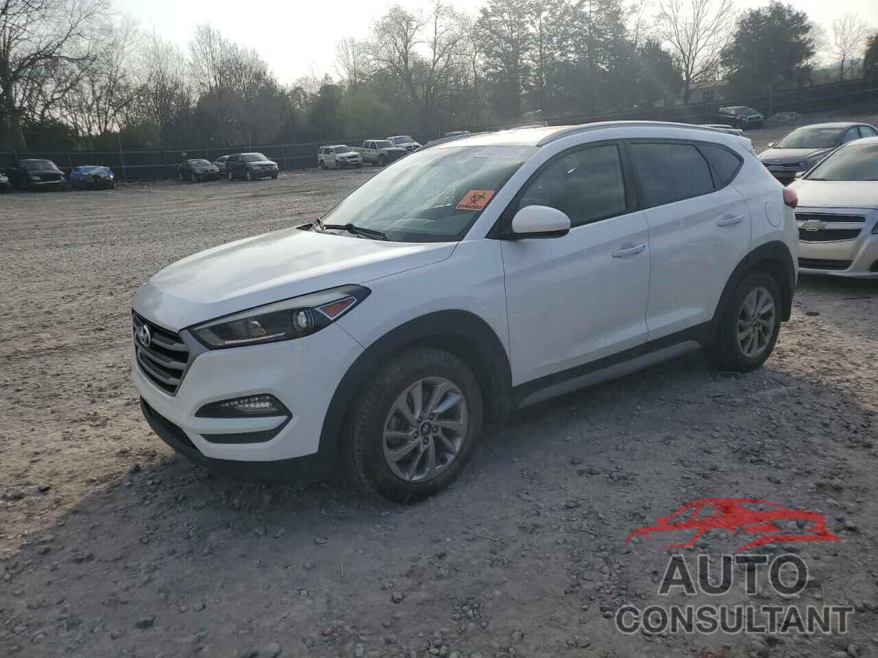HYUNDAI TUCSON 2017 - KM8J33A49HU584509