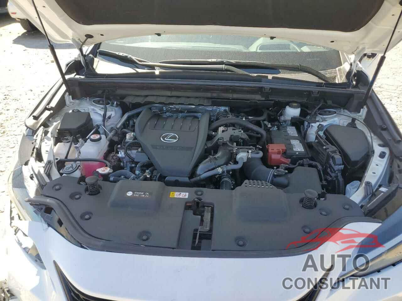 LEXUS NX 350 LUX 2024 - 2T2KGCEZ5RC036715