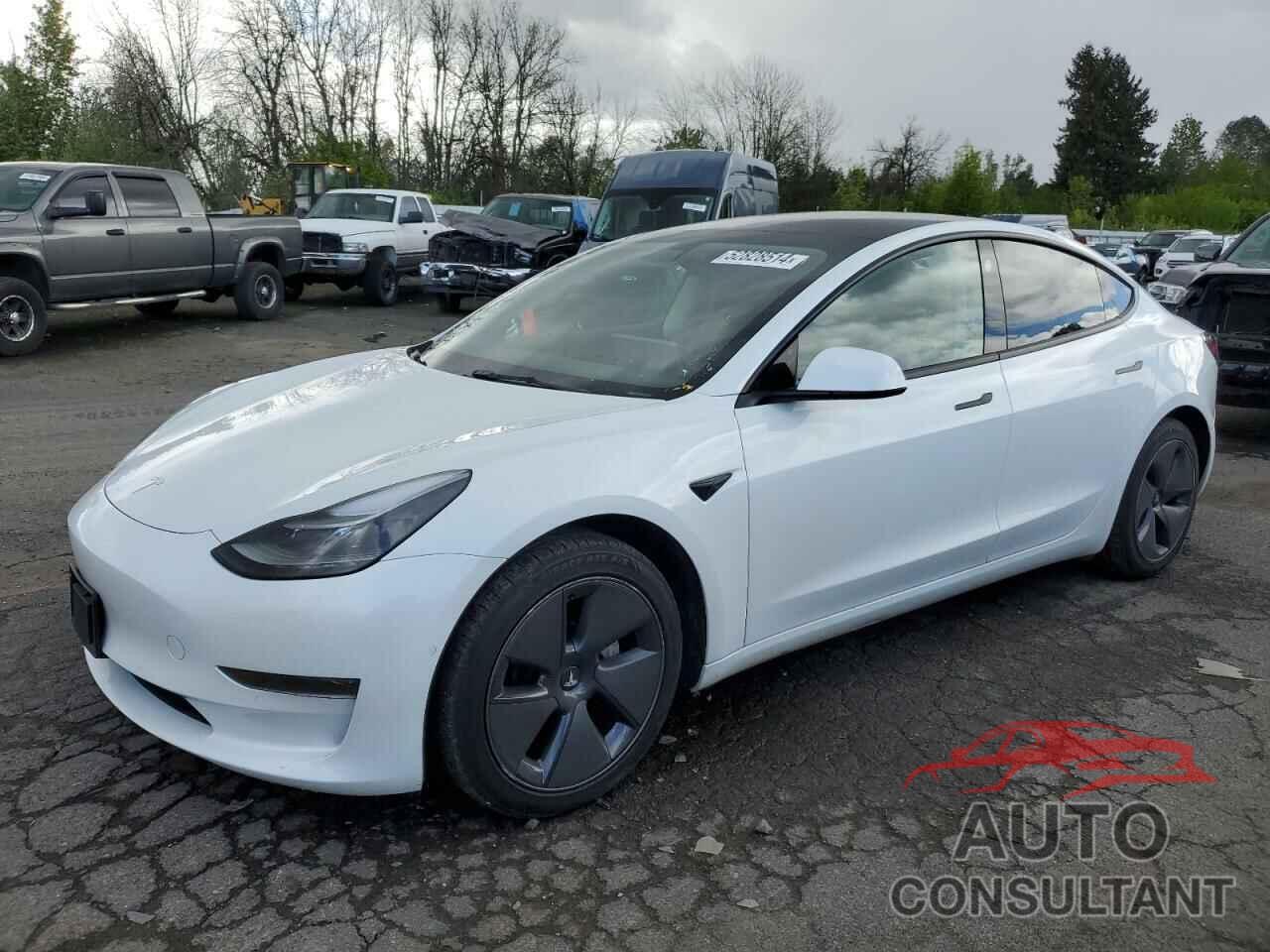 TESLA MODEL 3 2021 - 5YJ3E1EA1MF093527