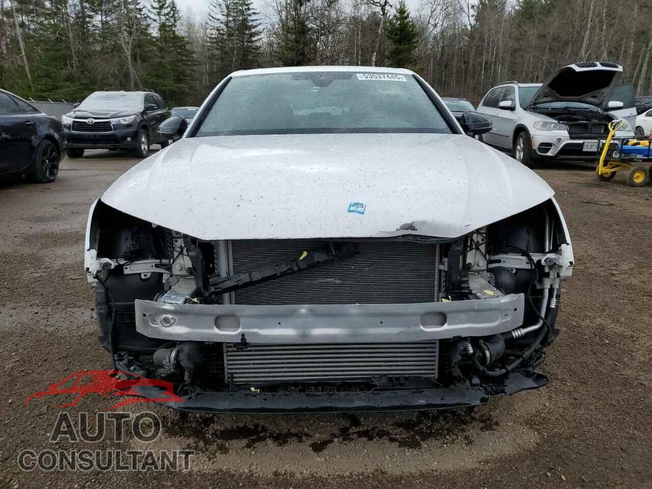 AUDI A4 2024 - WAUAAAF4XRA061393