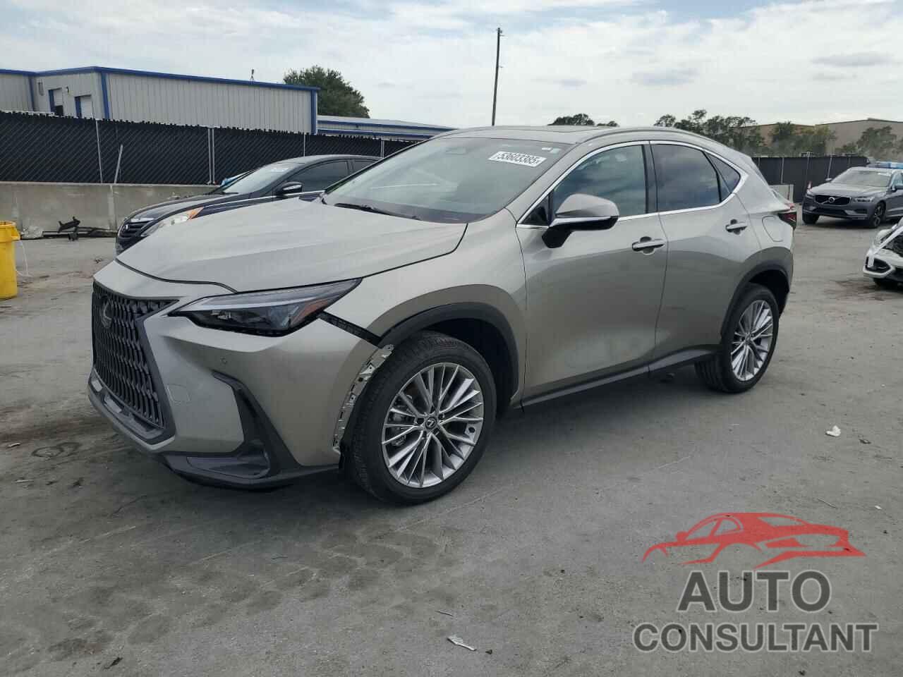 LEXUS NX 350 PRE 2025 - 2T2GGCEZ1SC061509