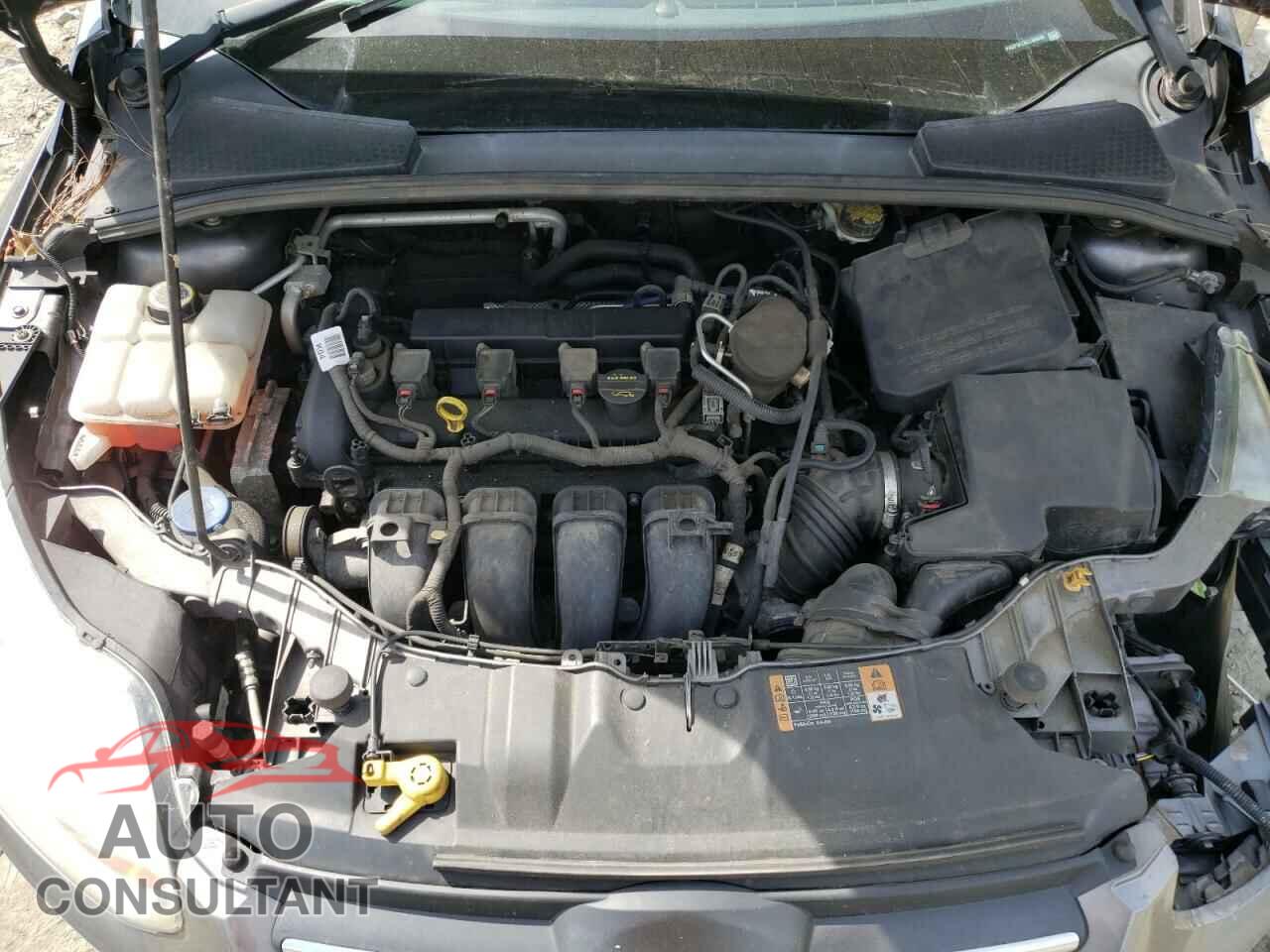 FORD FOCUS 2014 - 1FADP3F2XEL304536