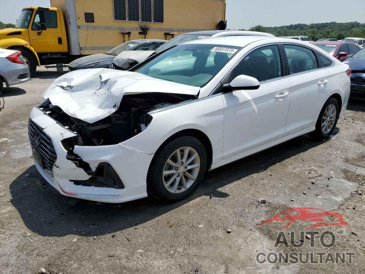 HYUNDAI SONATA 2019 - 5NPE24AF6KH766752