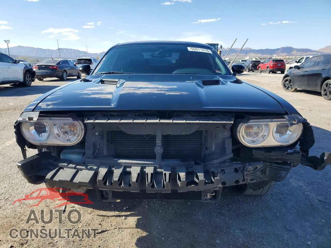 DODGE CHALLENGER 2014 - 2C3CDYBTXEH225413
