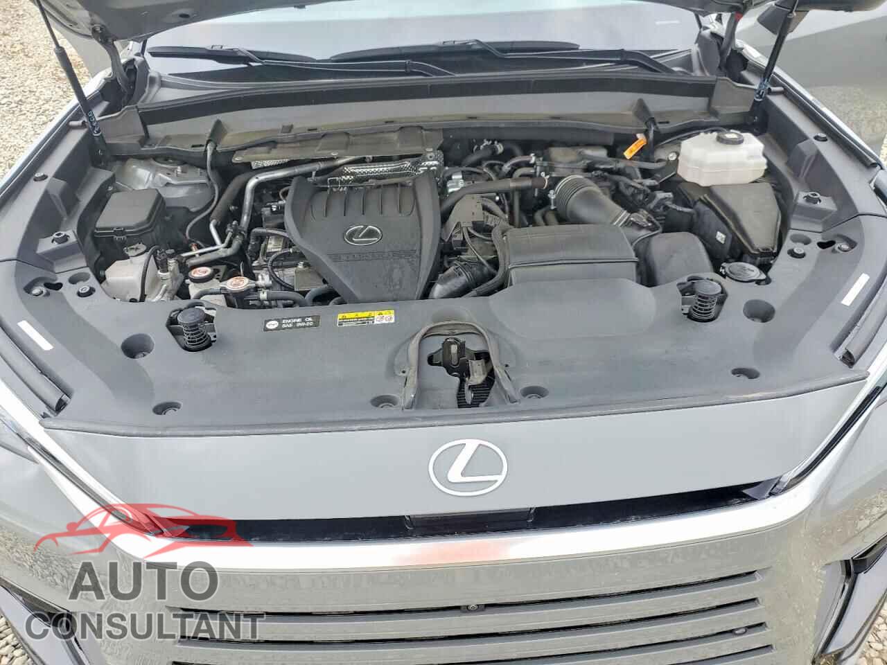 LEXUS UNKNOWN 2024 - 5TDABAB65RS006280